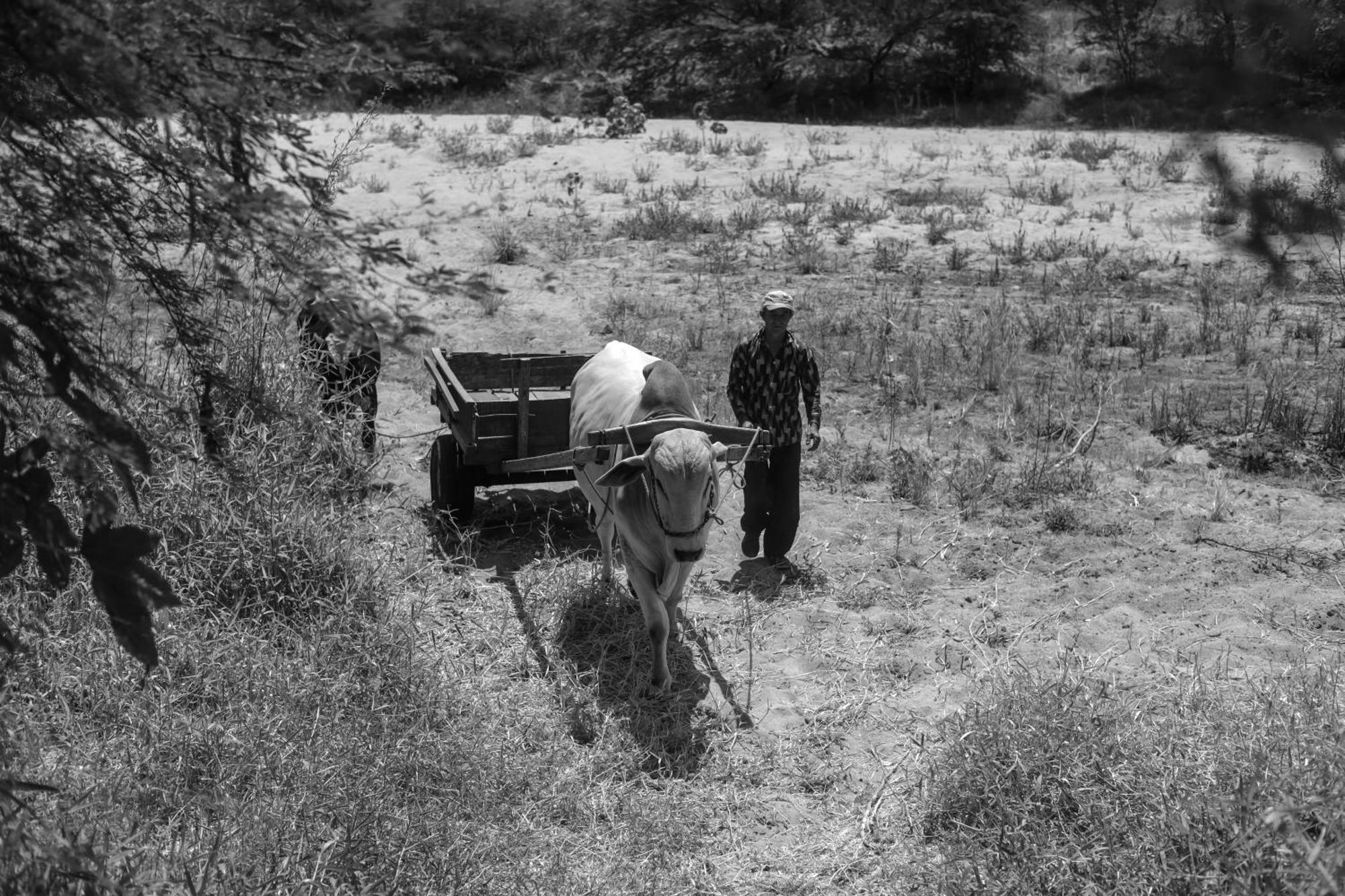 Fazenda Poco Das Pedras Sao Joao do Cariri Bagian luar foto