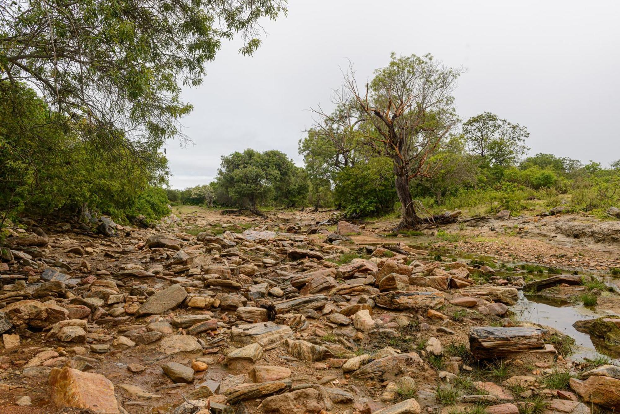 Fazenda Poco Das Pedras Sao Joao do Cariri Bagian luar foto